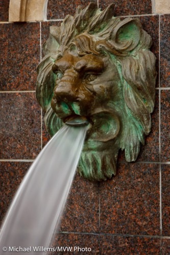 Lion and Water