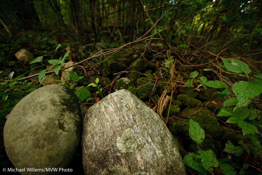 Mono Cliffs Provincial Park 2, photo Michael Willems