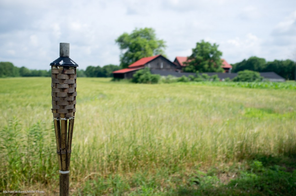 Agriculture (Photo: Michael Willems)