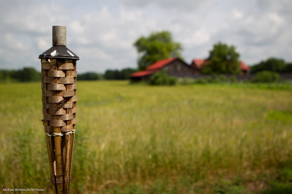 Agriculture (Photo: Michael Willems)