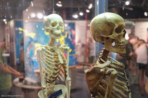 Skeleton fun (Photo: Michael Willems)
