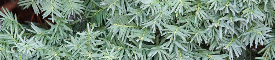 20111023-IMG_2588-900