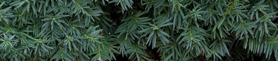 20111023-IMG_2590-900