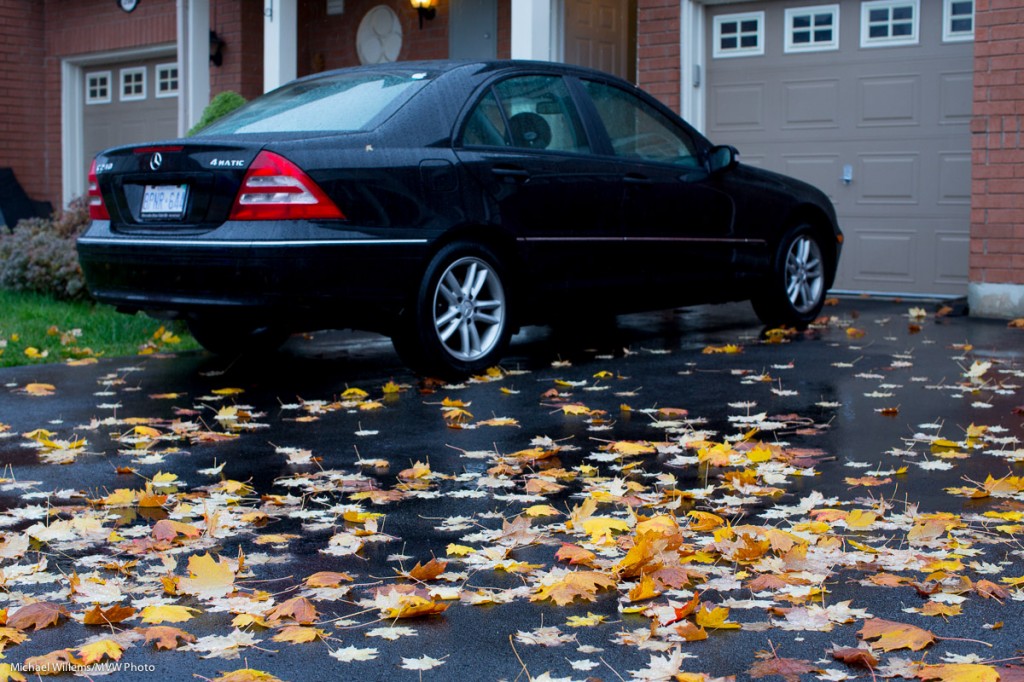 Fall - Photo: Michael Willems